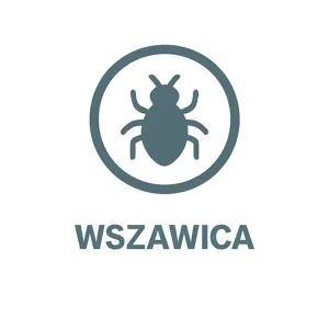 Wszawica