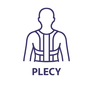 Plecy