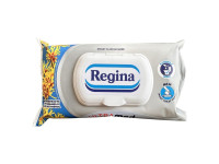 DELI REGINA  Papier Toaletowy Nawilżany  ULTRA MED   '42   (k=12)